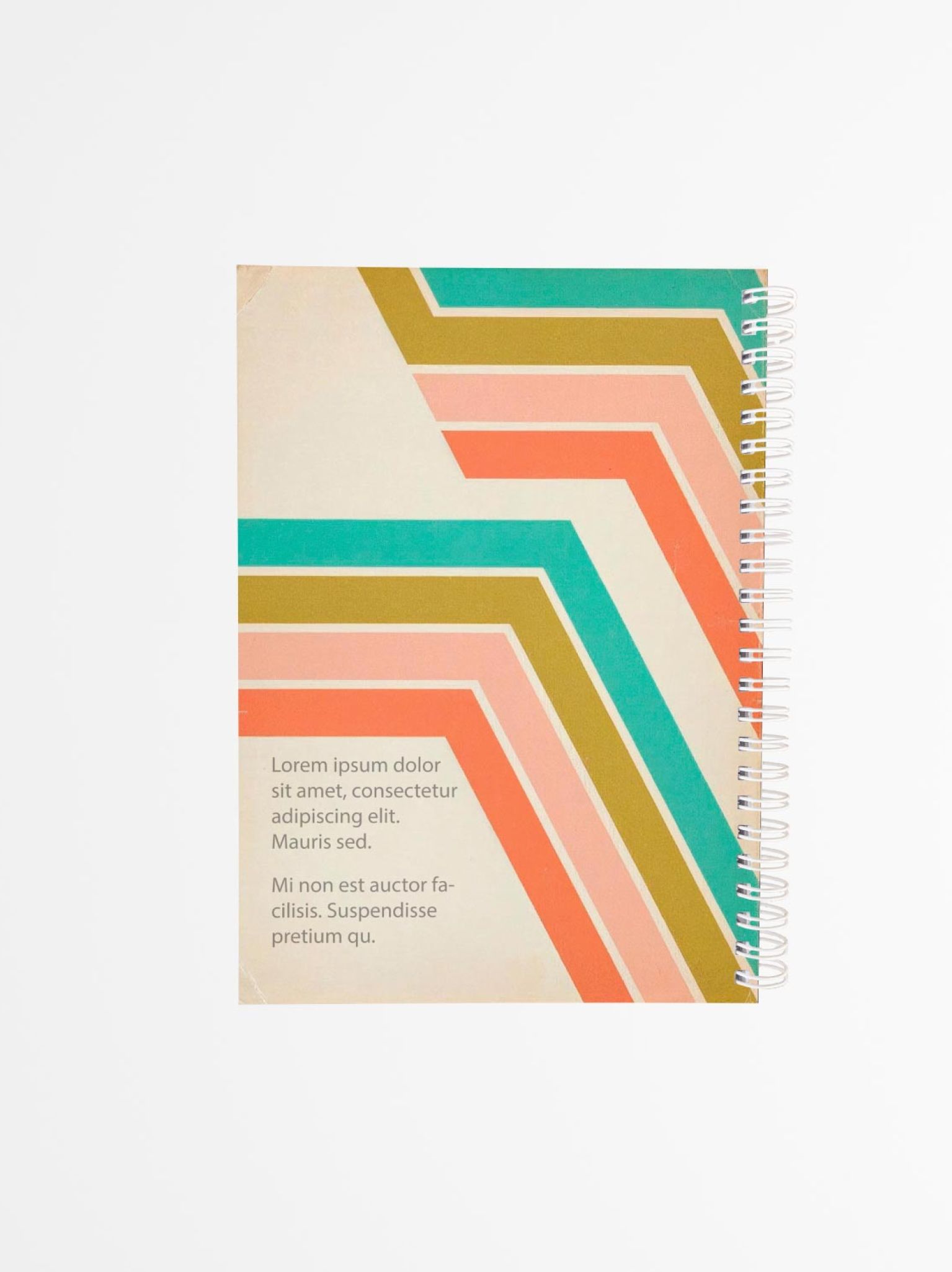 contraportada de agenda personalizada de estilo retro y franjas de colores en la portada, colocada en posici&oacute;n diagonal sobre fondo blanco